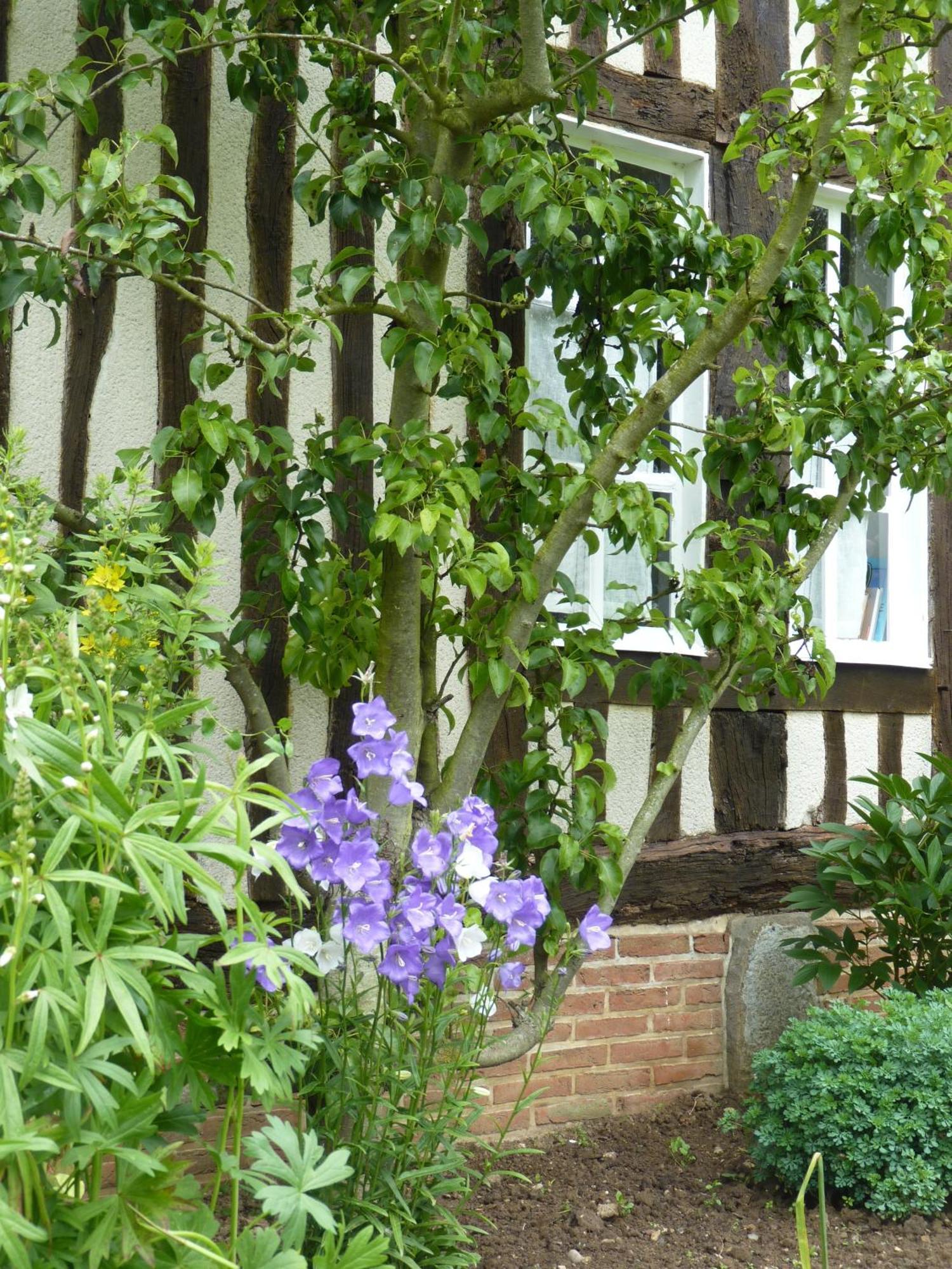 La Charretterie Bacqueville-en-Caux Exterior foto